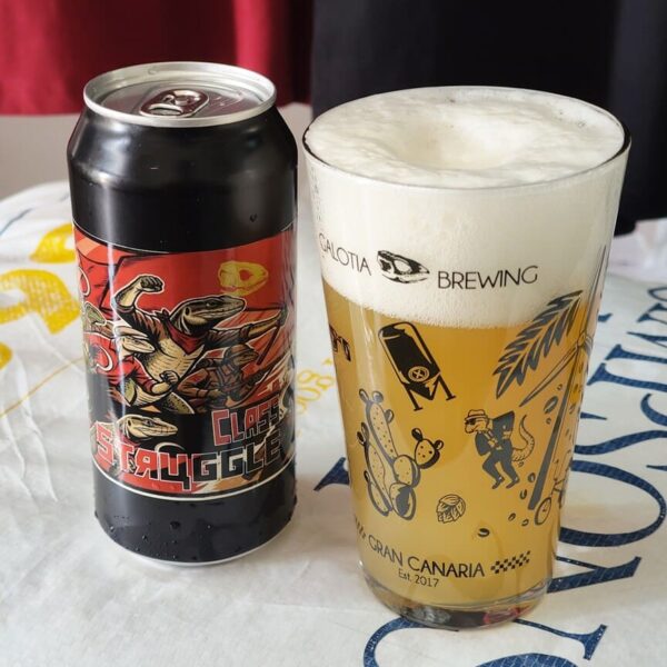 Class Struggle - Hazy Pale Ale (44cl)